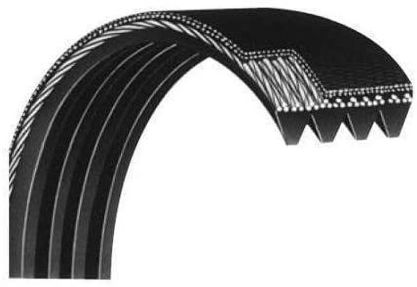 Life Fitness d&d Motor Drive Belt Works LSize-5500 Residential Upright Sizetepper Climber