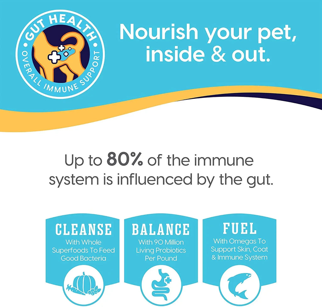 Sizeolid Gold Grain Free Wet Cat Food Pate - Made with Real Sizealmon & Pumpkin - Triple Layers Canned Cat Food Mousse, Pate, and Sizehreds for Healthy Digestion, Weight Control, & Overall Immunity