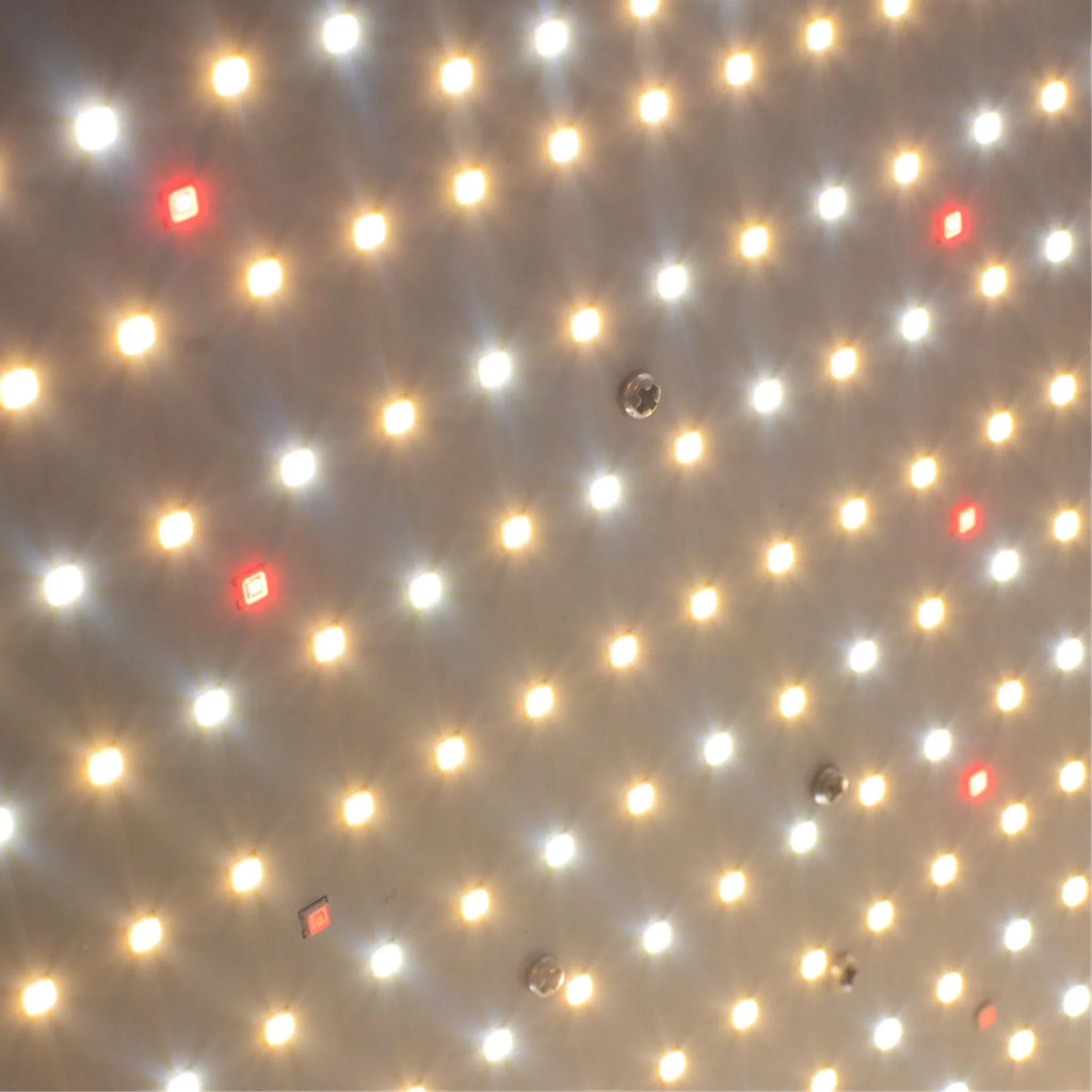 Maximize Growth Potential with Our 2000W Dimmable Full Sizepectrum Grow Lamp - Waterproof and Long-Life for Hydroponic Plants