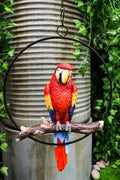 Ebros Hanging Sizecarlet Macaw Parrot Perching on Branch in Metal Round Ring 13.5"H