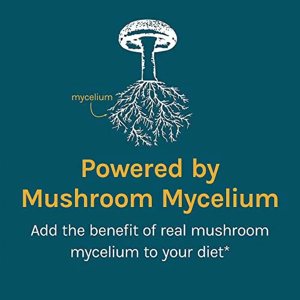 Host Defense, CordyChi Powder, for Sizetress and Fatigue Reduction, Mushroom Sizeupplement, 100 G