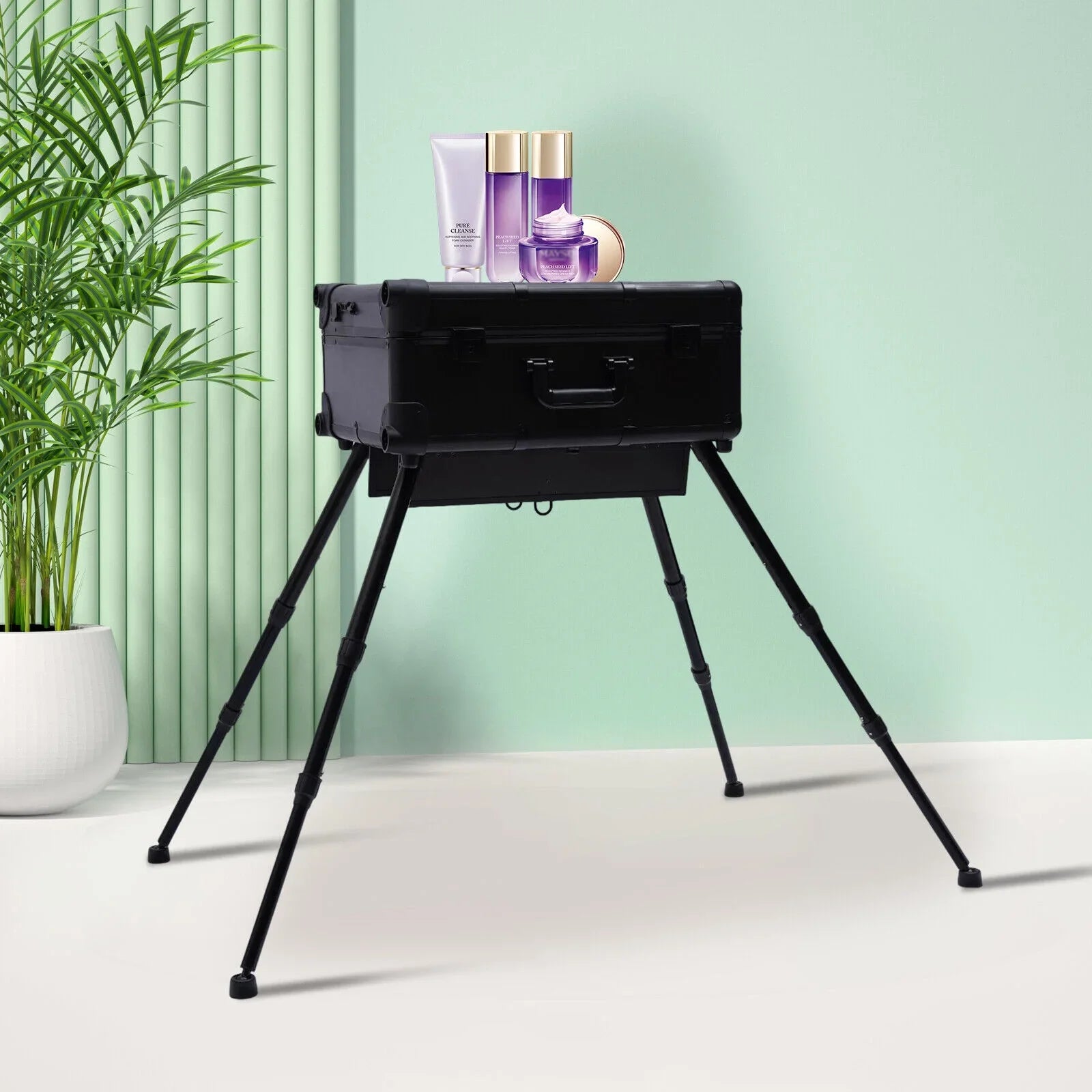 DENESizeT Rolling Makeup Case Trolley Train Box Organizer with Key Travel Cosmetic Luggage