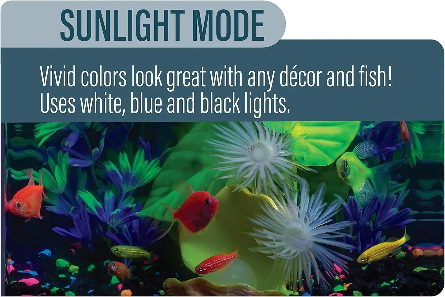 LED Light 5 Gallons, Blue And Ivory LED Lights, For Aquariums Up To 5 Gallons, Model:29028