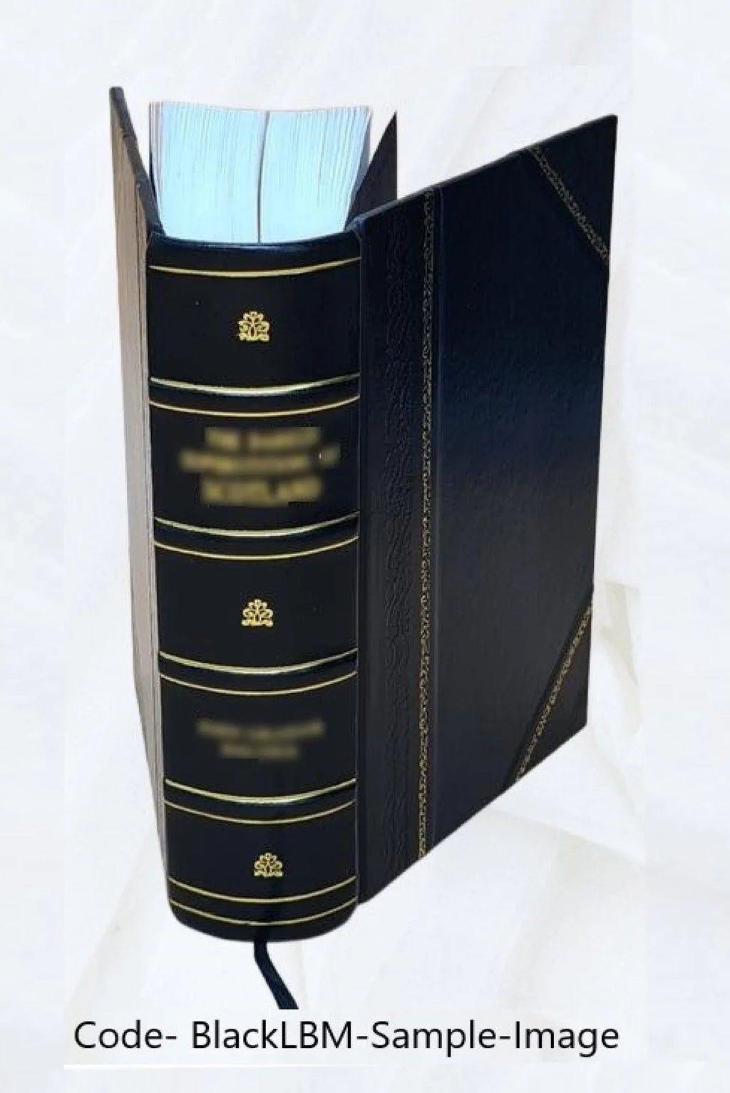 Éléments de toxicologie et de médecine légale appliquée à l'empoisonnement... 2e édition : appliquée à l'empoisonnement. Edition 2 / par A. Rabuteau ; 2e édition par Edme Bourgoin