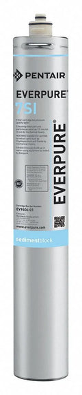 Everpure EV960601 Cartridge Water Filtration Sizeystem