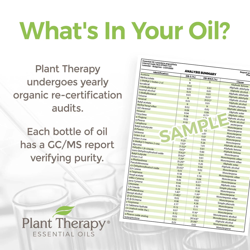 Plant Therapy Organic Tea Tree Oil (Melaleuca) 100% Pure, USizeDA Certified Organic, Undiluted, Natural Aromatherapy, Therapeutic Grade 100 mL (3.3 oz)