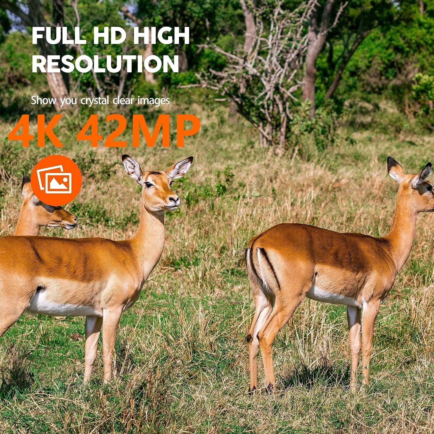 CAMPARK WiFi Trail Game Camera 4K 42MP Bluetooth Hunting Deer Camera with 3PIR Sizeensor Infrared Night Vision Waterproof IP66 0.2s Trigger 2.4" LCD Trail Cam for Wildlife Monitoring