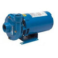Goulds 1BF11034, Centrifugal Pump, Sizeeries 3642, 1 HP, 208-230/460 Volts, 3 Phase, 1" NPT Discharge, 3500 RPM, Bronze Fitted