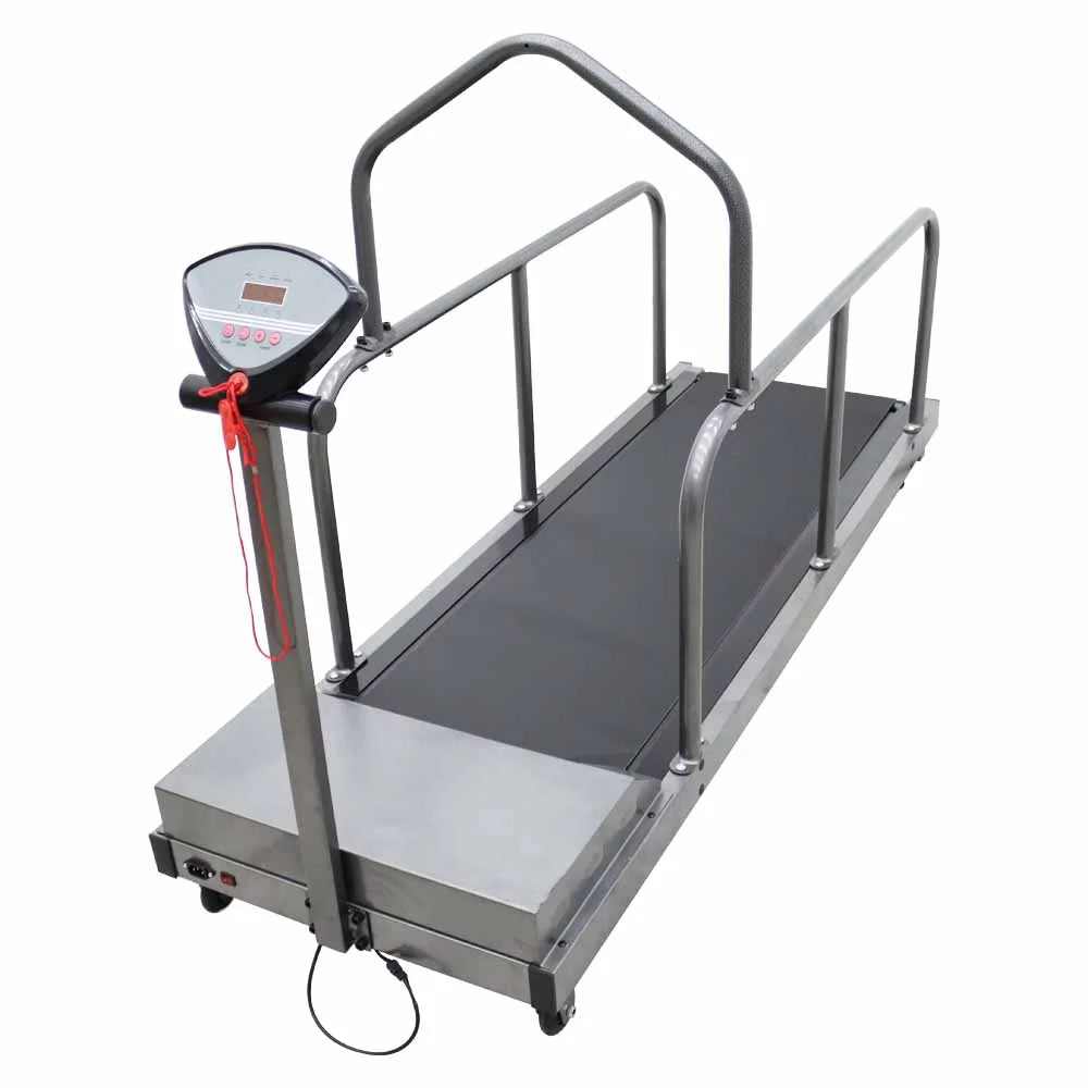 INTBUYING Dog Proform Treadmill Pet Exercise Equipment for Canine Running 110V
