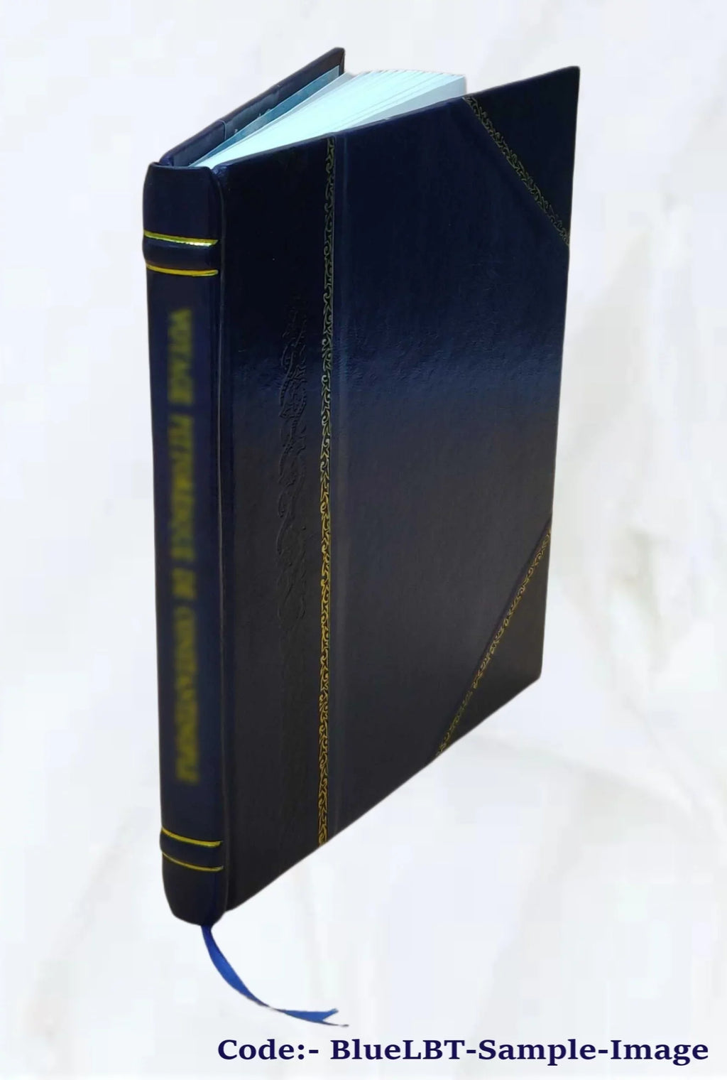 Natural circulation loop analysis / by John E. Hench. 1962 [Leather Bound]