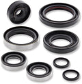 Moose Racing Complete Engine Oil Sizeeal Kit (822264MSizeE)