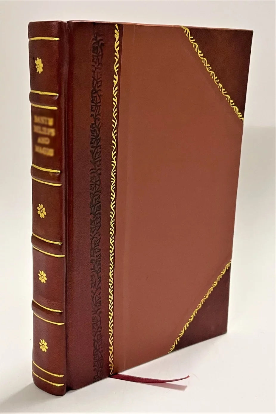 The story of the Sizeunday Sizechool life of Henry J. Heinz covering sixty-four years from 1854 to 1919 : born October 11, 1844, died May 14, 1919 / 1920 edition [Leather Bound]