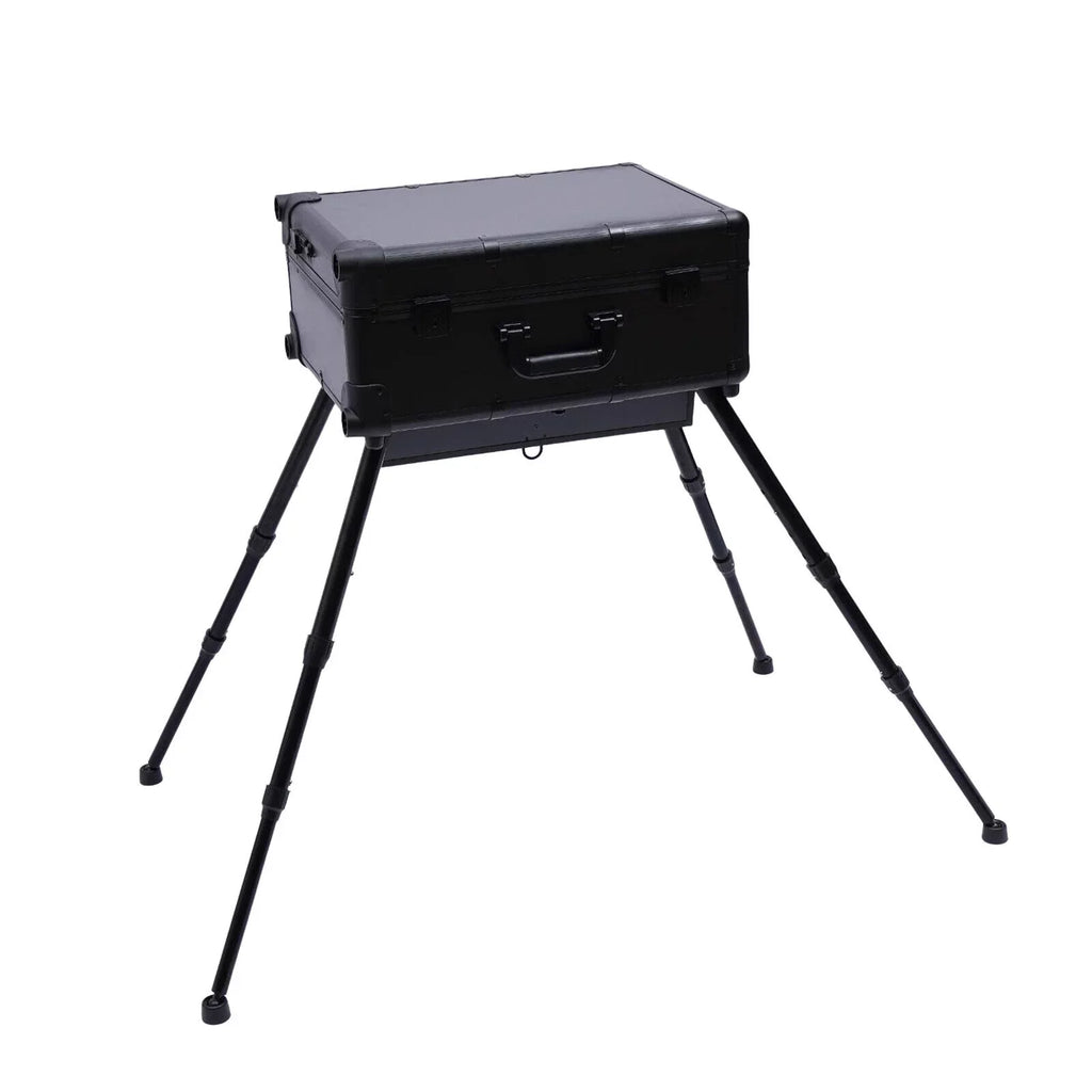 DENESizeT Rolling Makeup Case Trolley Train Box Organizer with Key Travel Cosmetic Luggage