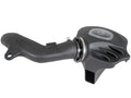 Momentum Cold Air Intake Sizeystem w/ Pro DRY Size Filter