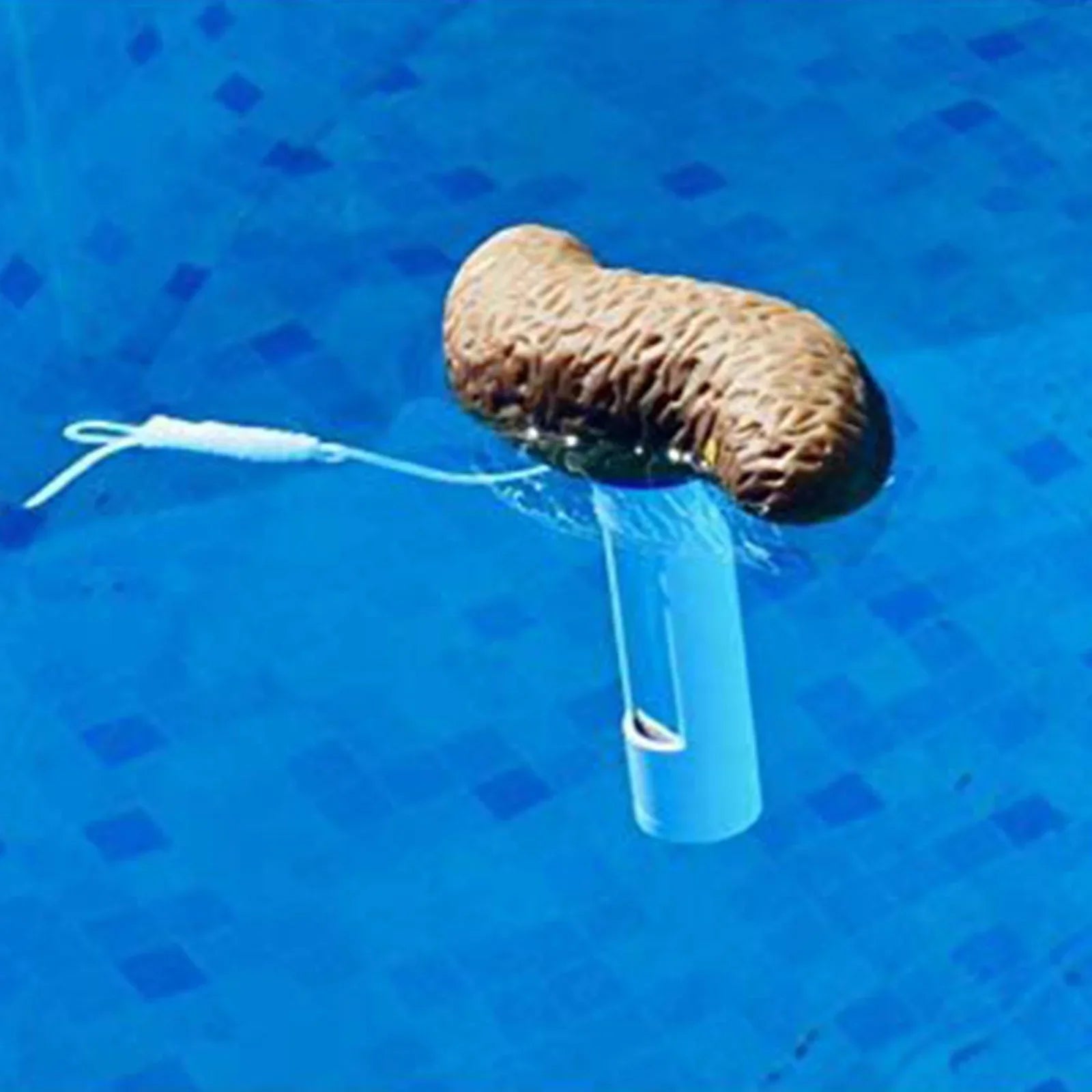 ILJNDTGBE Funny Poop Sizehaped Floating Pool With Accurate Temperature Display Hilarious Novelty Bathing Accessory For Kids & Adults Pool Party Gift Idea 100ml