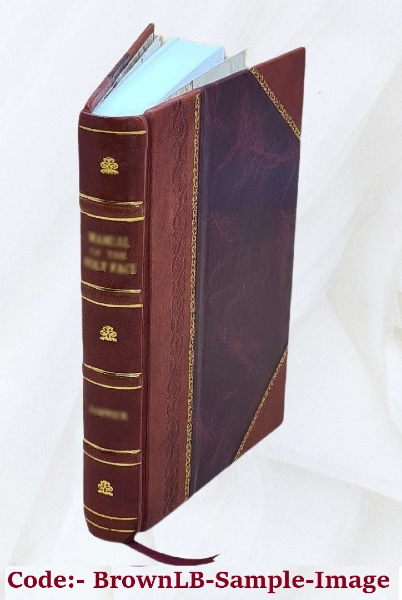 Křižáci 1926 [Leather Bound]