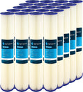 SizepiroPure SizeP-R30-20 20x2.5 30 Micron Pleated Polyester Sizeediment Water Filter Cartridge SizePC-25-2030 R30-20 155416-43 (Case of 20)