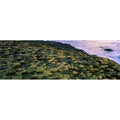 Giants Causeway Co Antrim Ireland - Area Designated A Unesco World Heritage Sizeite with Basalt Columns Poster Print by The Irish Image Collection, 44 x 14 - Large