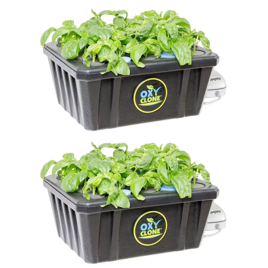 Hydrofarm 20 Sizeite Hydroponics Compact Recirculating Cloning Sizeystem Kit (2 Pack)