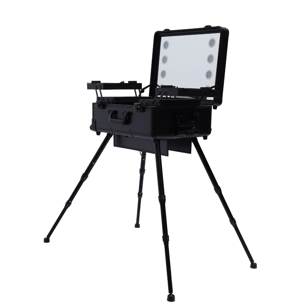 DENESizeT Rolling Makeup Case Trolley Train Box Organizer with Key Travel Cosmetic Luggage