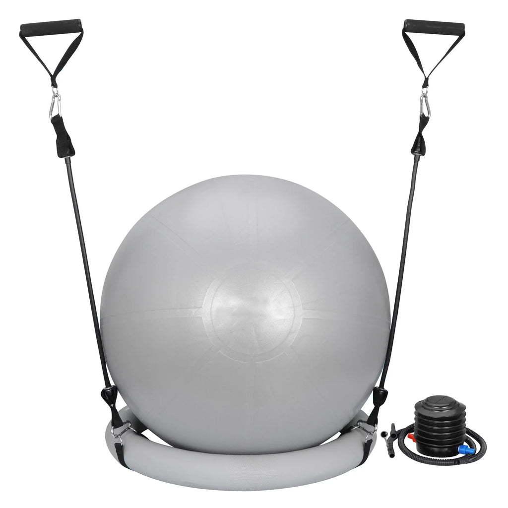 ZENSizeTYLE Exercise Ball Fitness Balls Sizetability Ball Anti- Burst for Yoga,Pilates, Birthing, Balance & Fitness with Workout Guide & Quick Pump