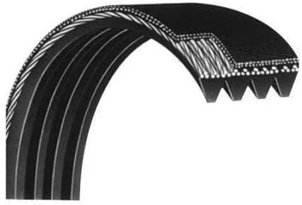 Precor d&d Bike Poly V Drive Belt 48" Works with True Fitness Elliptical XPSizeX z7R z8.1R z8R XLC900 TRZ70