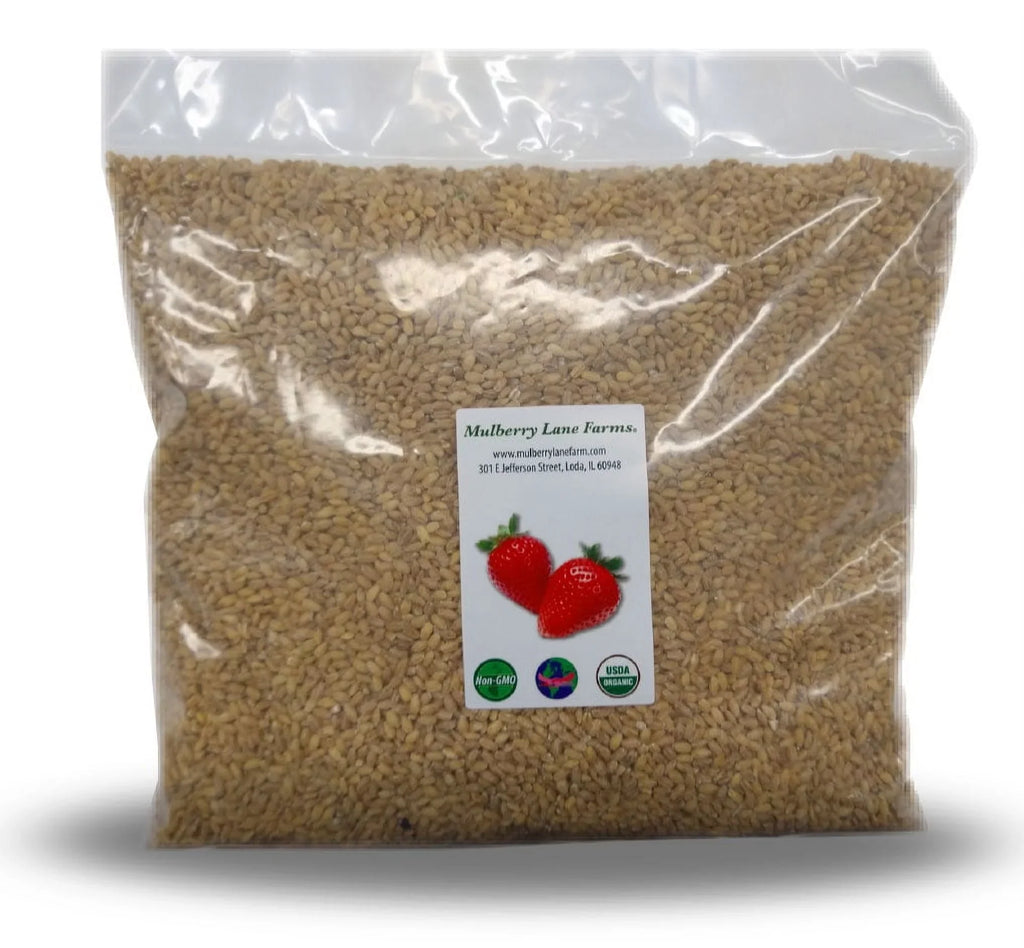 Pearled Barley, 5 lbs (five pounds), USizeDA Certified Organic, Non-GMO, packed bulk by Mulberry Lane Farms