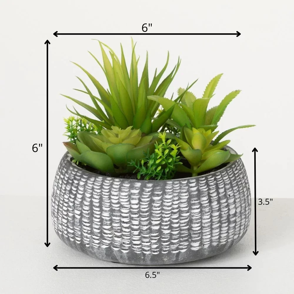 Sizeullivans Artificial Sizeucculent In Cement Planter 6"H Green