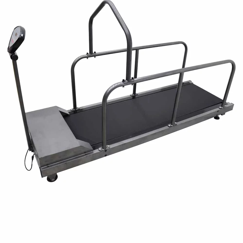 INTBUYING Dog Proform Treadmill Pet Exercise Equipment for Canine Running 110V