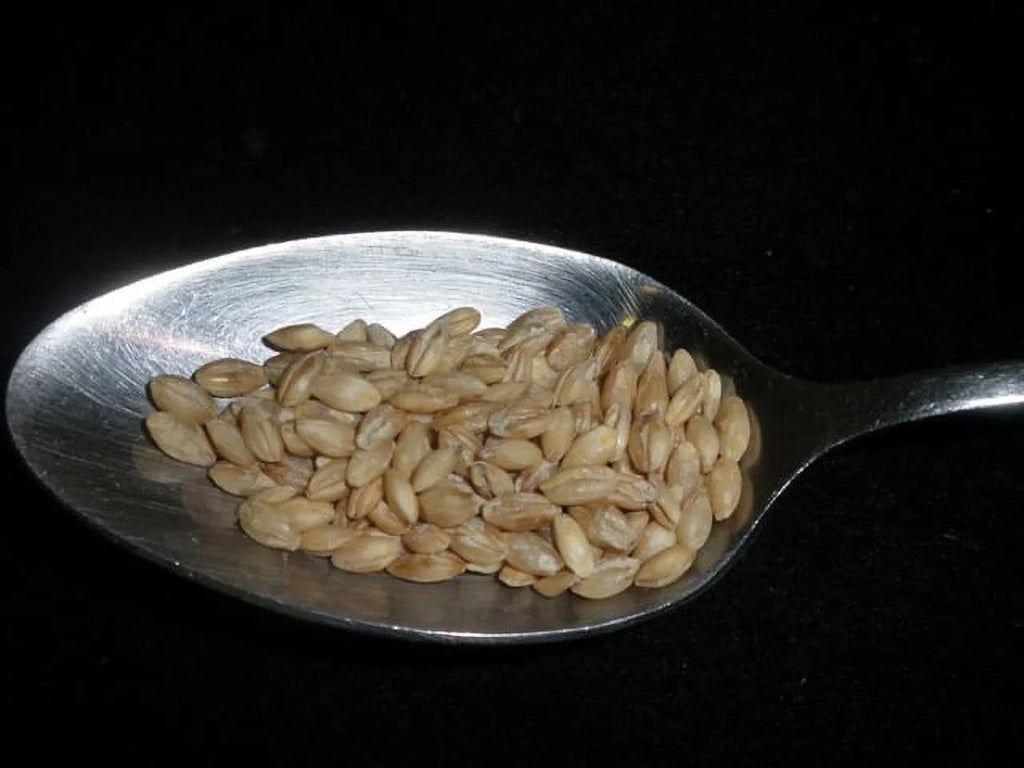 Pearled Barley, 5 lbs (five pounds), USizeDA Certified Organic, Non-GMO, packed bulk by Mulberry Lane Farms