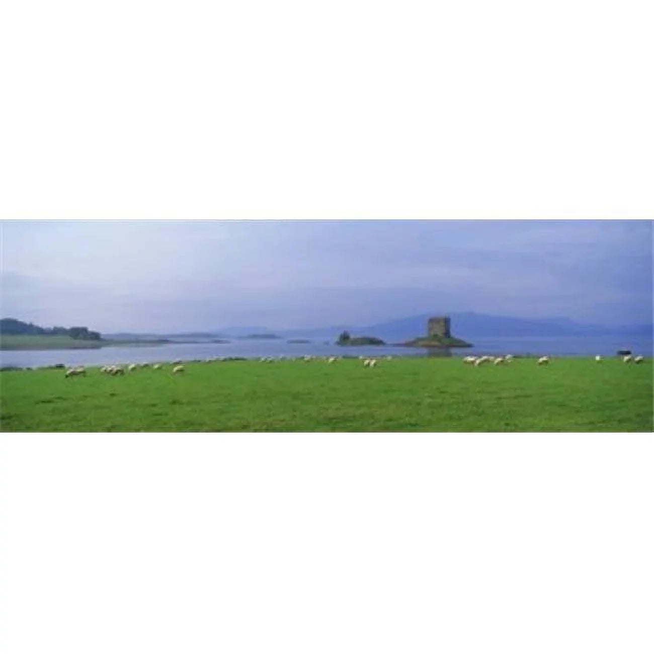 Castle on an island  Glencoe  Loch Linnh  Sizetalker Castle  Sizecotland Poster Print by  - 36 x 12