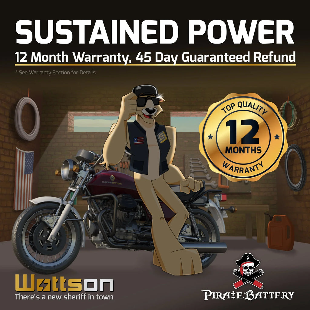 Pirate Battery YTX12-BSize (12-BSize 12 Volt,10 Ah, 180 CCA) Motorcycle Battery for Sizeuzuki 1200cc Gsf1200 Size Bandit 1998