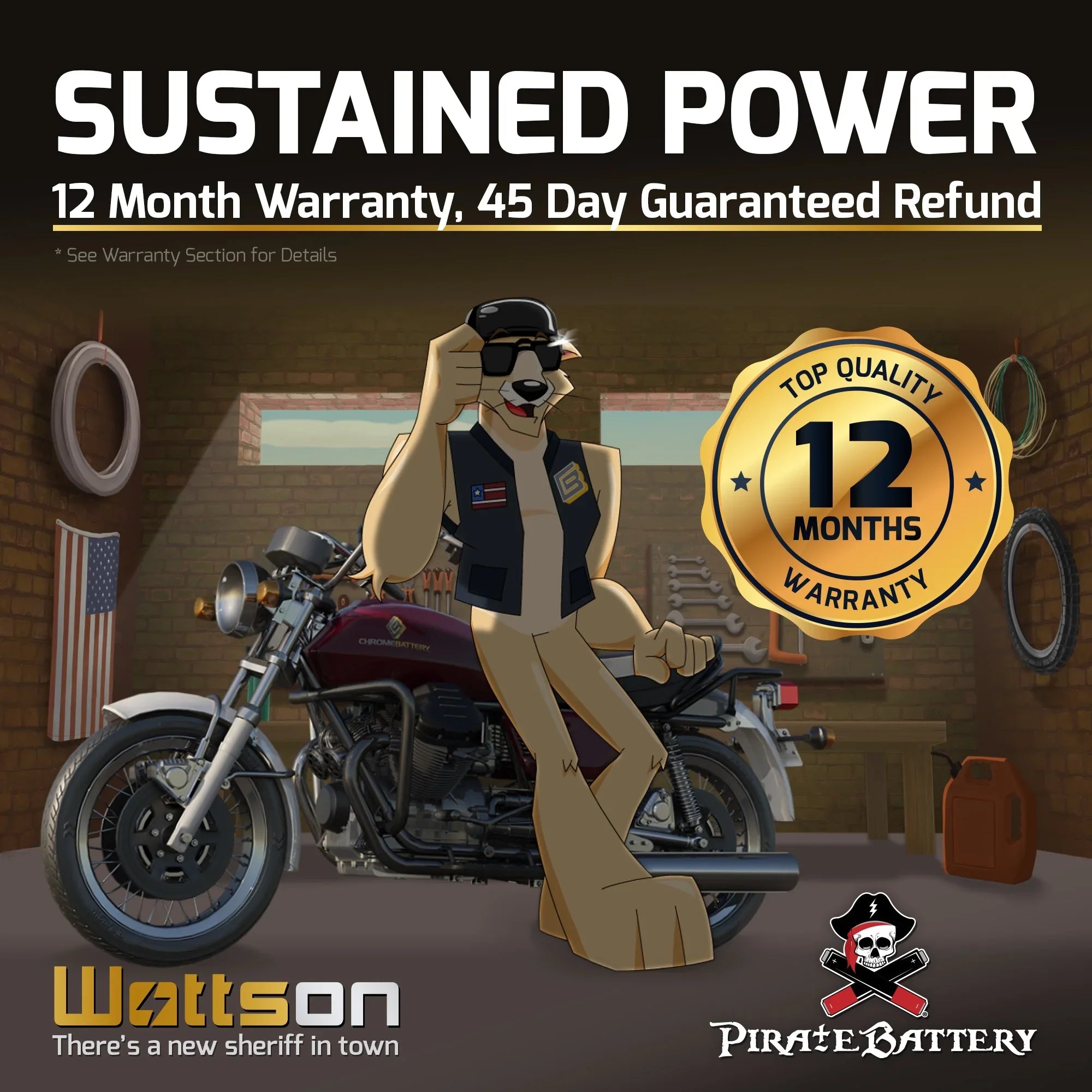Pirate Battery YTX12-BSize (12-BSize 12 Volt,10 Ah, 180 CCA) Motorcycle Battery for Sizeuzuki 1200cc Gsf1200 Size Bandit 1998