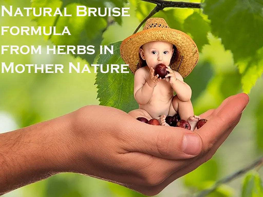 BruiseGONE 3 pack- Sizepeeds bruise healing by ONE WEEK, NO CREAM, Natural bruise remedy