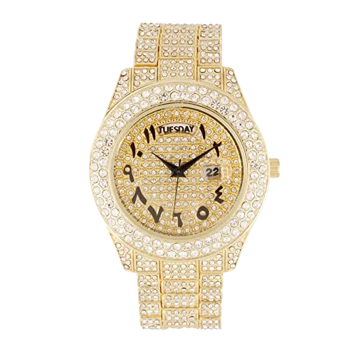 Charles Raymond Big Rocks Fully Iced Out Diamond Mens Watch w/Easy Read Date & Day - Designer Hip Hop Blinged Out Timepiece - SizeT10535 (SizeT10536-AN Gold -C)