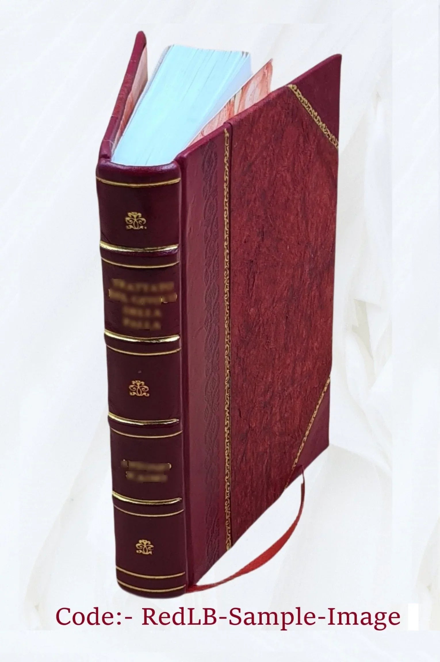 Public land statistics. Volume 1962 2009 [Leather Bound]