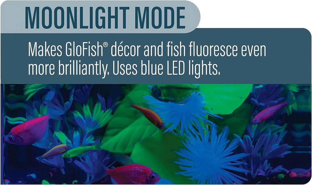 LED Light 5 Gallons, Blue And Ivory LED Lights, For Aquariums Up To 5 Gallons, Model:29028