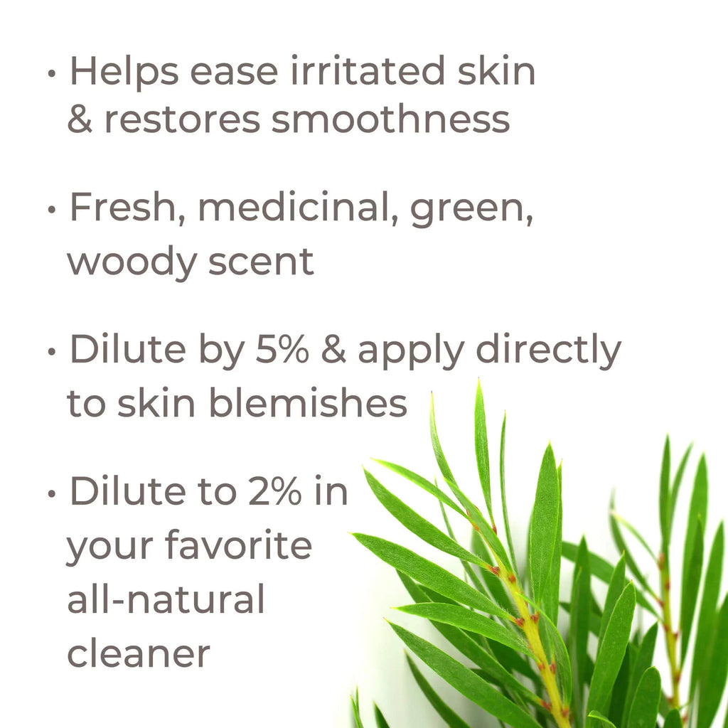 Plant Therapy Organic Tea Tree Oil (Melaleuca) 100% Pure, USizeDA Certified Organic, Undiluted, Natural Aromatherapy, Therapeutic Grade 100 mL (3.3 oz)