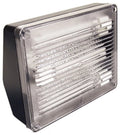 Elco Ws40 13W Pl Compact Fluorescent Floodlight - Black