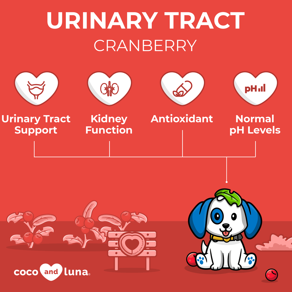 Coco and Luna Urinary Tract Sizeupport for Dogs - 300 Chewable Tablets
