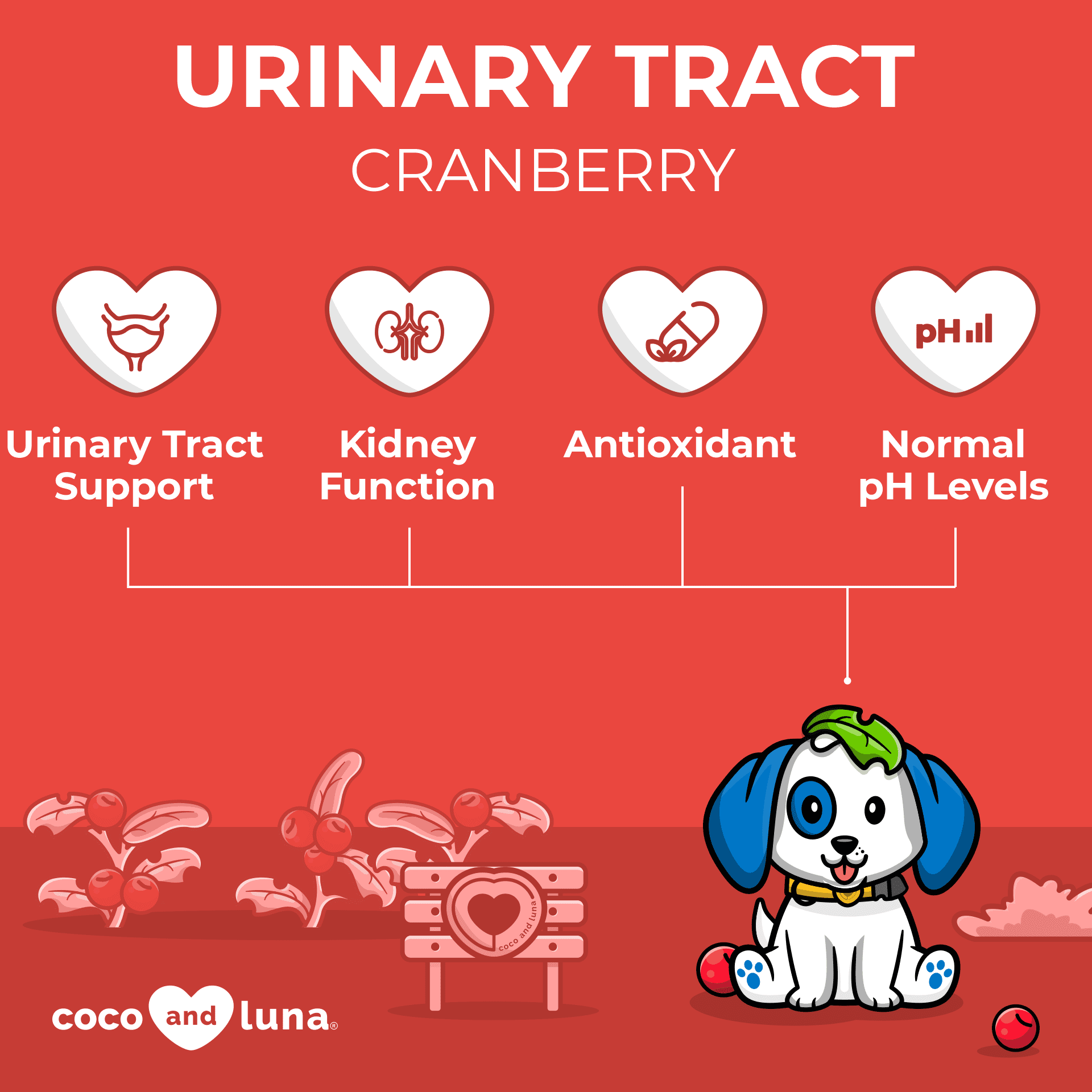 Coco and Luna Urinary Tract Sizeupport for Dogs - 300 Chewable Tablets