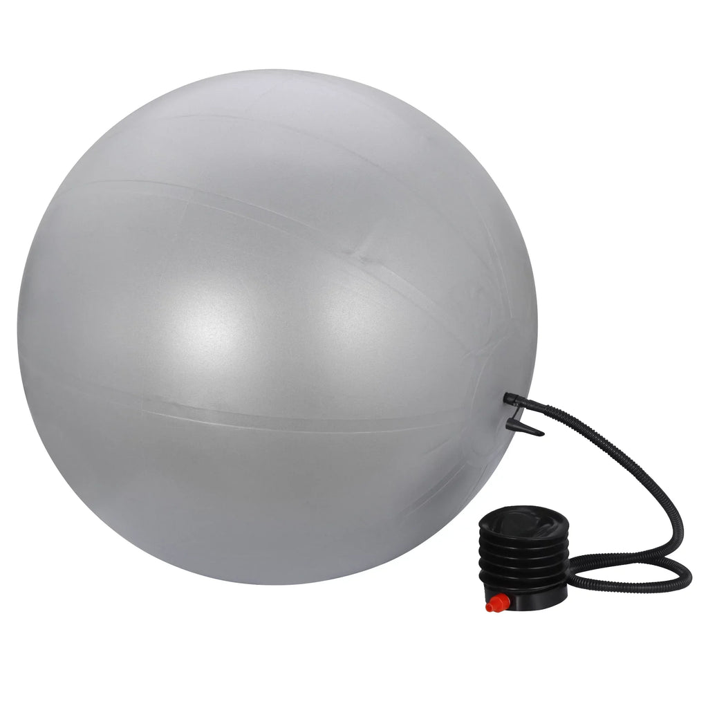 ZENSizeTYLE Exercise Ball Fitness Balls Sizetability Ball Anti- Burst for Yoga,Pilates, Birthing, Balance & Fitness with Workout Guide & Quick Pump