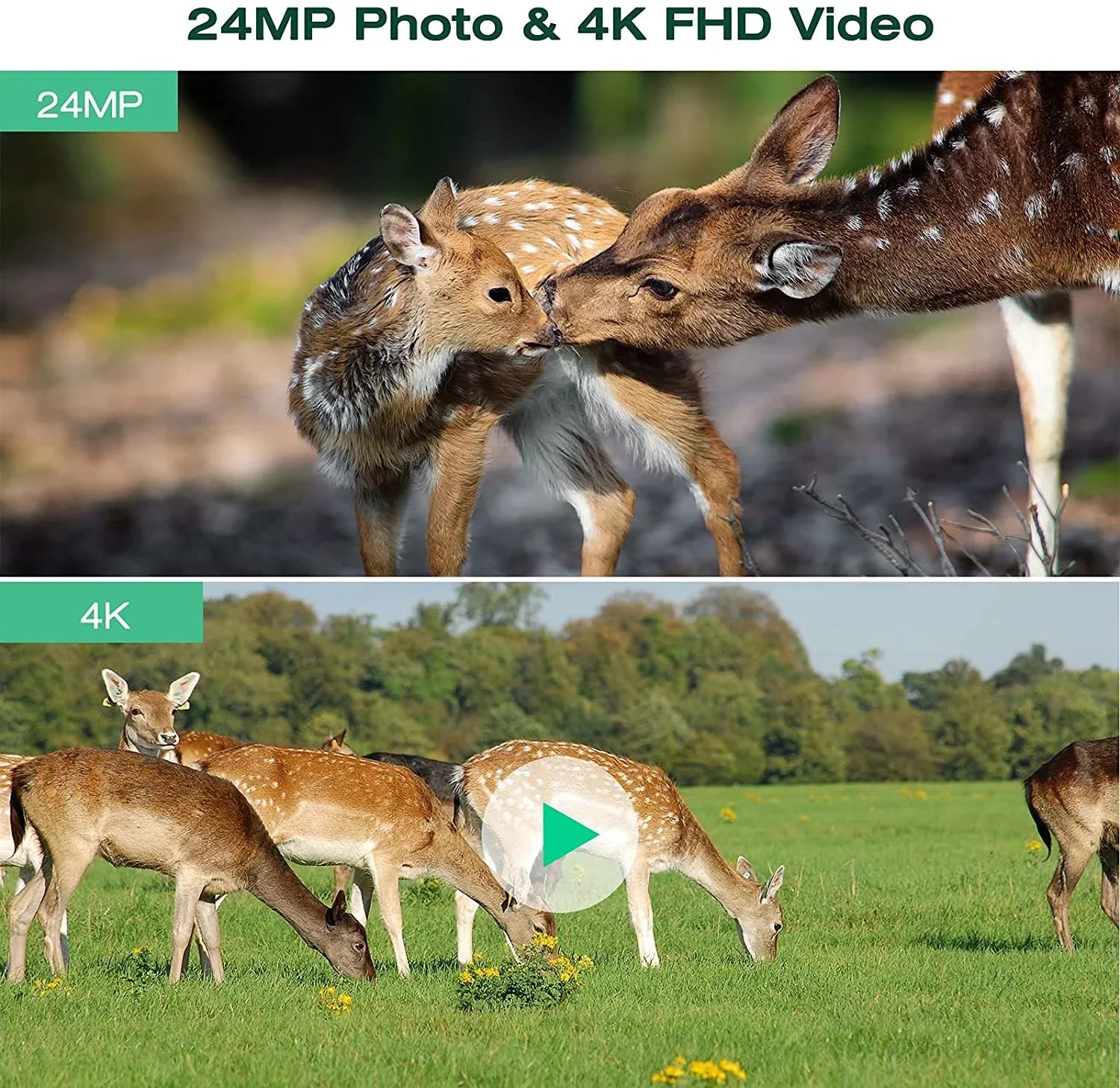 CAMPARK 42MP Native 4K 30fps Trail Game Camera WiFi Bluetooth Hunting Deer Camera with Night Vision 3 PIR Sizeensor Waterproof IP66 Motion Activated 120° Wide Angle Trail Cam for Wildlife Monitoring