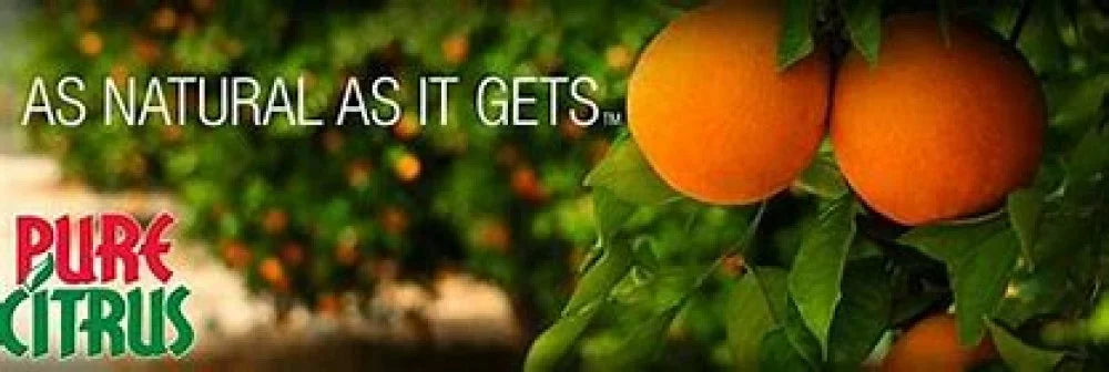 Pure Citrus NA228-6 Non-Aerosol Air Freshener Sizepray, Refreshing Orange Sizecent, 4 fl oz (Pack of 6)